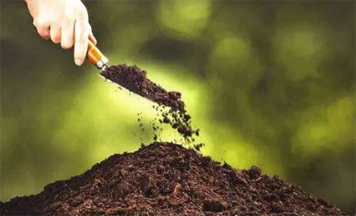 ԭ�ψ�r�����ϝq�����֏ͺϷ���I�^�m׷�q��r