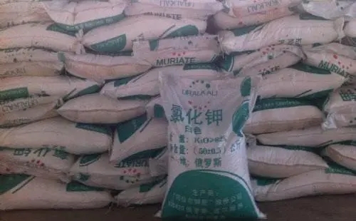 ȫ�򻯷ʃr���λ�ϝq�������Ƴ������e��