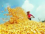 �r�Y���N�̣���߀��Ɏ��ꣿ