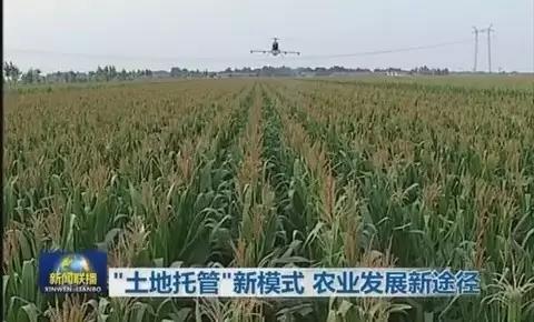 δ��10�꣬�@�����r�Y��Ψһ��·��