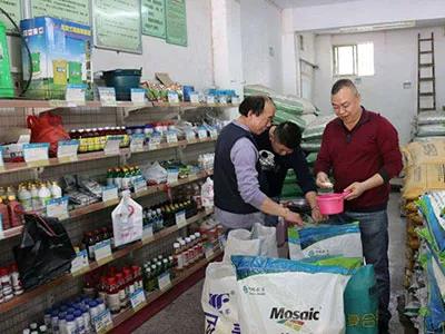 �r�Y�T�������Ӳ���׌���ف���