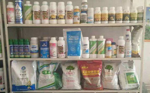 �I�N�K�����r�Y���񵽉�Ĺ�