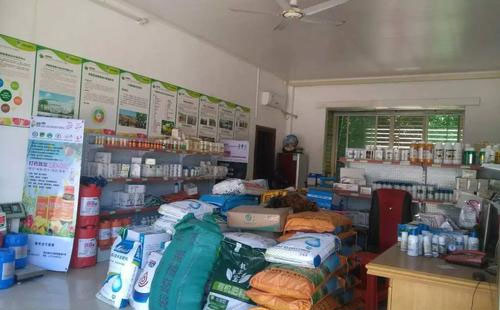 �r�Y�Ј��Ľ���Ҏ��