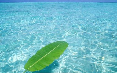 �Ї�⛷��Ј�����������