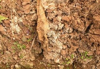 ��ɶ�r���X���ЙC���F��