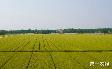 ɽ�|����9587�f�����û����r(n��ng)�� ���~����΄�(w��)