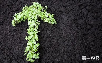 �Ї������ޏͮa�I�� δ�������_���f�|Ҏģ