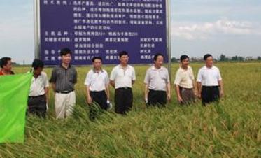 ������벢�eʩ�л��ʿ؜p��ץ�䌍��Ҋ��Ч