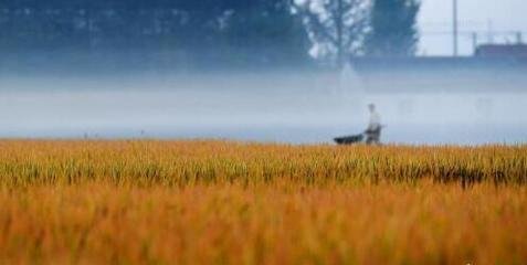 ȫ�����M�r��а��ش_���ӛ�C�Cԇ�cʡ�����_28��