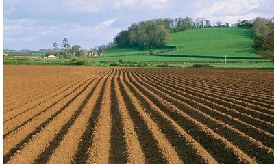 �r�I�����ƌWʩ�ʾ͵��ЙC�ʴ��仯�ʣ�