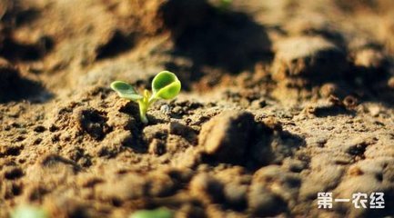 �r(n��ng)�I(y��)���޸ďUֹ����Ҏ(gu��)��Ҏ(gu��)��