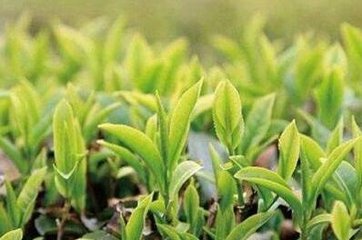 �������Y6000�fԪ��(sh��)ʩ���˲��ЙC(j��)�����