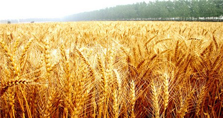 �r�I̽·�๦�ܴ�ѭ�h