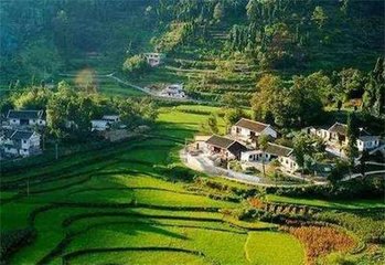 �r�I(y��)�r�僞(y��u)�Ȱl(f��)չ�Ą����Ǆ�(chu��ng)��