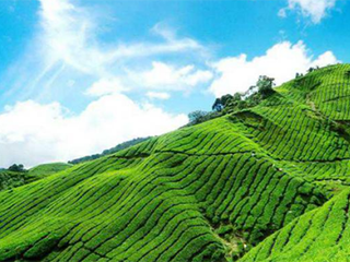 �ЙC���ƏV�y��ԭ������Ѩ�����@�