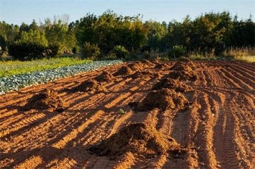 ���з��ϰ�ȫ��Մ��������