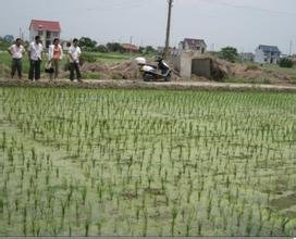 ����h��ˮ�ܷʰlչ