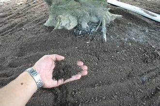 �l�ЙC���a�N�˹�ʾ7���s�o�ˌ���