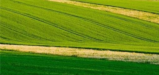 �����r(n��ng)ˎ�����L��ǰ���ꌍ(sh��)�F(xi��n)