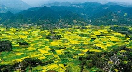 �п�Ժ�Ϸ��о�Ժ�аl��̼���������