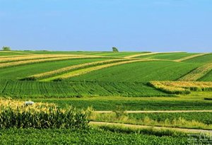 �҇����ȸ�����Ҫ�ֲ��ڶ��滛��ʡ