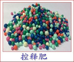 ����ጷ���̎�t����