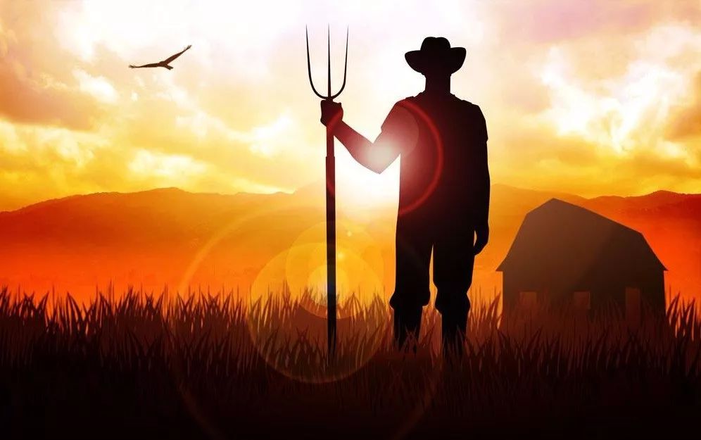 һ�����χ���7��1������ʩ