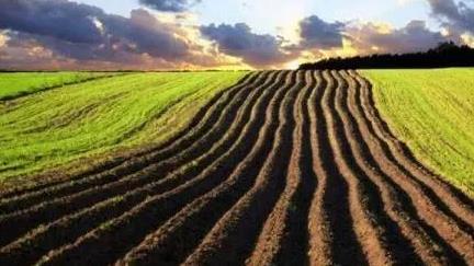 ֪���҇����ؿ��w�|����Ά�����Щ�ط����Ѓ��ȸ�����