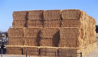 �a(ch��n)�I(y��)�u�ɚ��  ��I(y��)���I(l��ng)�l(f��)չ