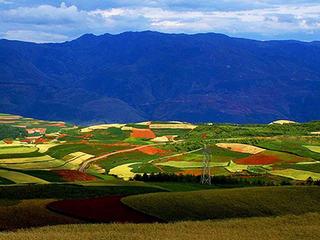 ����ʡ��ǰ���F�����rˎʹ���������L�Є�Ŀ��