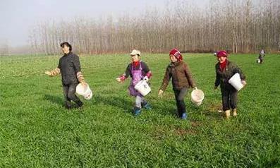 ��������̫�����ǂ������}��