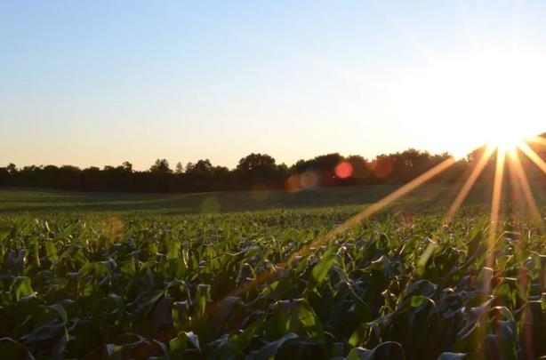 ����I�B���ЙC�ʵ����ʵ�׃���c��˼