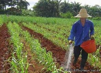 ɽ��ʡ����2020�껯��ʹ���������L