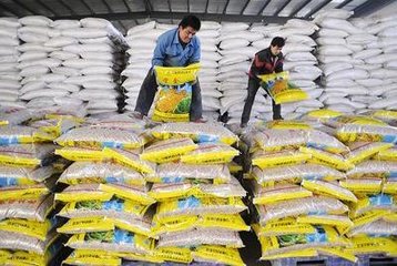 ���Cʡ���Nϵ�y(t��ng)����30�f�����ʂ䴺��