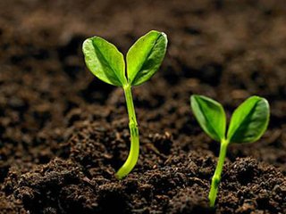 �����ޏ��f�|�{���Ј�����