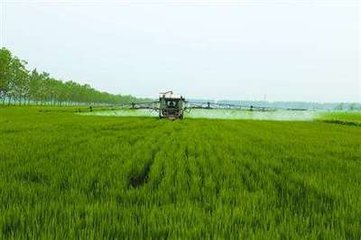 �����rˎ�p����Ч���Gɫ�D�ͳ�Ч���@�rƷ�|����������