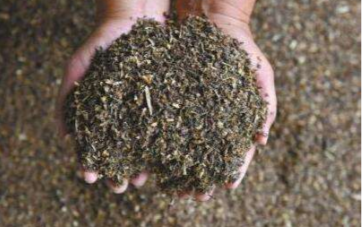 �����M���������³�������