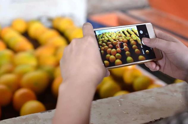 �r(n��ng)�Y�������ط��L(f��ng)�ڣ�