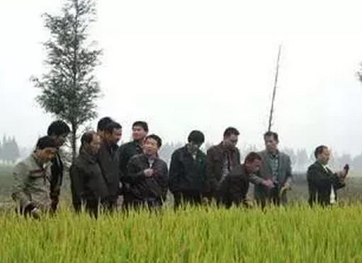 �r��������ĳЩ���B�e�ԣ�����