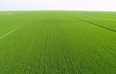 �������݆���ݸ��ƶ�ԇ�c��e�_��2400�f��