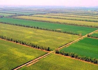 ���¼����r�I���l����δ���@�N�ЙC�ʌ�����̭��