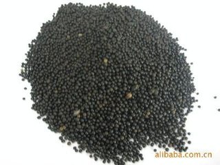 ���Ҹ�ֲ���(bi��o)�ʻ��C��(g��u)���ˣ�ӛס�Ǹ���ֲ���ᣬ�����Ǹ���ֳ���ᣡ