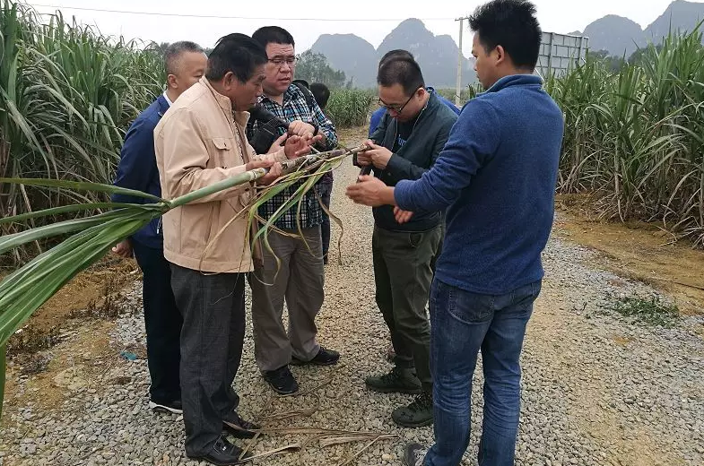 �V��ǧ�f��������r·���������ʙC�����ˣ�