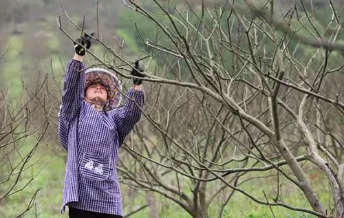 �r���чL�����^����ٝ���ЙC�ʡ��_���ã�