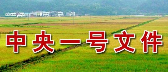 ������Щ���ϙC���ࣿ����һ̖�ļ����д𰸣�