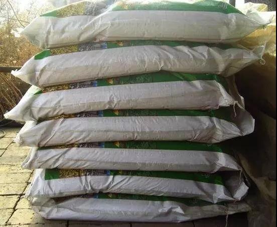 �����ʵ����ǷNʲô���ϣ����ǷʘI����