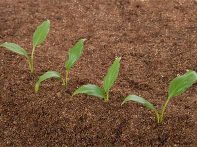 ���ʘI(y��)��С��֮�q��