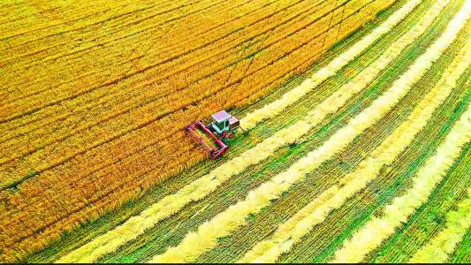 ����(li��n)�ֹ����H���Nֲ�����Є�