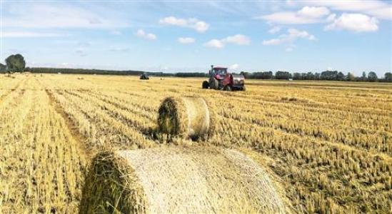 ؔ�������a�N300�f��֧�ֽն����ЙC�ʣ�