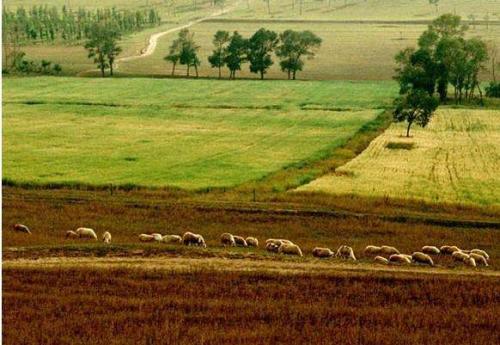 ��һ�ø����|�����ҽM��������������|���O�y���o���۽��巽��